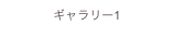 ギャラリー1