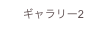 ギャラリー2